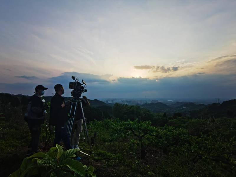 聚焦绥宁县产品宣传视频拍摄公司，用专业实力铸就品牌传播传奇