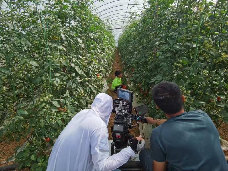 绥宁县产品宣传视频拍摄公司进阶指南，助力品牌抢占传播高地